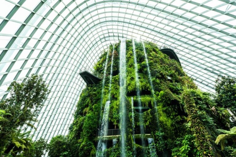 Ref-image-The-Business-Case-for-Sustainability-in-Indian-Retail.jpg
